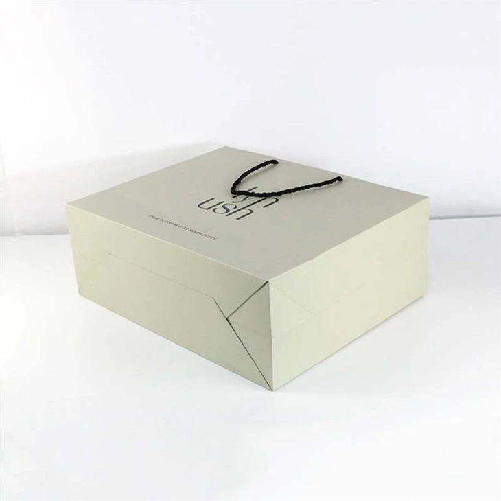 Design Paper Bag factory